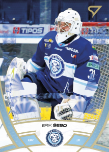 Šebo Erik 24-25 Tipos Extraliga Gold #217