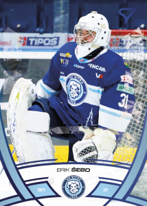Šebo Erik 24-25 Tipos Extraliga Blue #217