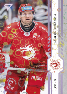 Jeřábek Jakub 24-25 Tipsport Extraliga Violet #254