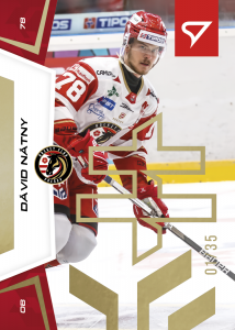 Nátny Dávid 24-25 Slovenská hokejová liga Gold #4