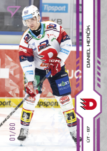 Herčík Daniel 24-25 Tipsport Extraliga Purple #262