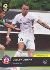 Ubbink Desley 17-18 Futbalové Slovensko #31