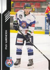 Wiencek Petr 18-19 Premium Cards #39