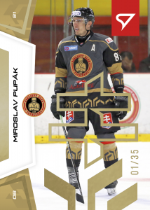 Pupák Miroslav 24-25 Slovenská hokejová liga Gold #40