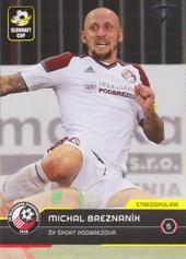 Breznaník Michal 17-18 Futbalové Slovensko #42