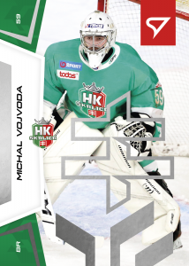Vojvoda Michal 24-25 Slovenská hokejová liga Silver #49