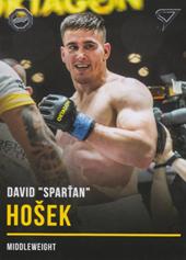 Hošek David 2019 Oktagon MMA #B51