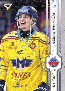 Malát Sebastián 2025 Tipsport ELH Play Off Violet #402