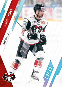 Bíreš Andrej 23-24 Tipos Extraliga Ice Blue #99