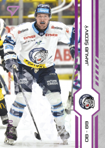 Šedivý Jakub 2025 Tipsport ELH Play Off Purple #406