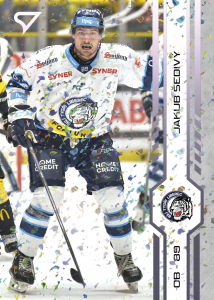 Šedivý Jakub 2025 Tipsport ELH Play Off Violet #406