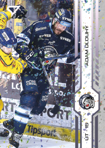 Dlouhý Adam 2025 Tipsport ELH Play Off Violet #407