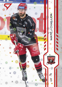 Chalupa Matěj 24-25 Tipsport Extraliga Red #313