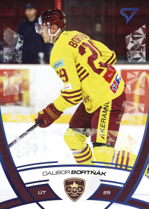 Bortňák Dalibor 24-25 Tipos Extraliga Blue #289