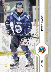 Hašek Petr 24-25 Tipsport Extraliga Gold #321