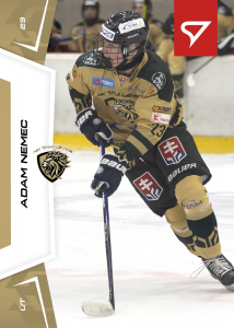 Nemec Adam 24-25 Slovenská hokejová liga #102