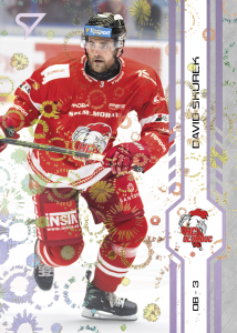 Škůrek David 24-25 Tipsport Extraliga Violet #327