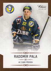 Pala Radomír 18-19 OFS Chance liga #104