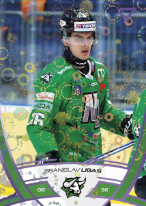 Ligas Branislav 24-25 Tipos Extraliga Purple #306