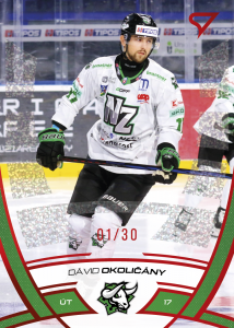Okoličány Dávid 24-25 Tipos Extraliga Red #310