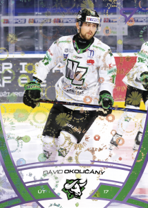 Okoličány Dávid 24-25 Tipos Extraliga Purple #310