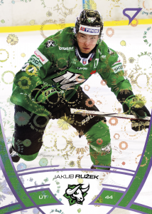 Ružek Jakub 24-25 Tipos Extraliga Purple #313