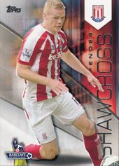 Shawcross Ryan 14-15 Topps Premier Gold #110