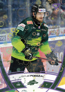Pobežal Jakub 24-25 Tipos Extraliga Purple #317