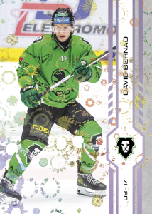 Bernad David 24-25 Tipsport Extraliga Violet #350