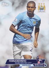 Fernandinho 13-14 Topps Premier Gold #148