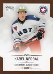 Nedbal Karel 18-19 OFS Chance liga #183