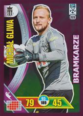 Gliwa Michał 17-18 Panini Adrenalyn XL Ekstraklasa Bramkarze #222