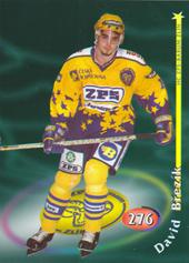 Březík David 98-99 OFS Cards #276