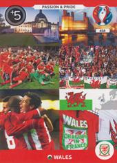 Wales 2016 Panini Adrenalyn XL EURO Passion and Pride #458