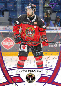 Česánek Boris 24-25 Tipos Extraliga Purple #111