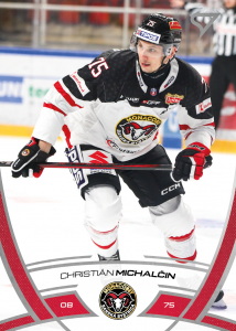 Michalčin Christián 24-25 Tipos Extraliga #113