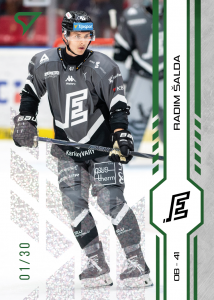 Šalda Radim 24-25 Tipsport Extraliga Green #189