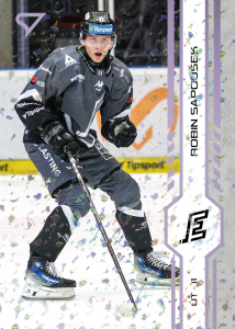 Sapoušek Robin 24-25 Tipsport Extraliga Violet #198