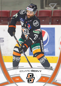 Šedivý Eduard 24-25 Tipos Extraliga #61
