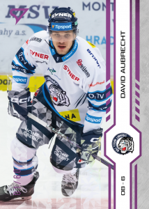 Aubrecht David 24-25 Tipsport Extraliga Purple #111
