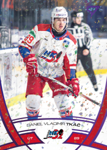 Tkáč Daniel Vladimír 24-25 Tipos Extraliga Purple #178