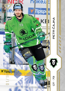 Čajka Petr 24-25 Tipsport Extraliga Gold #227