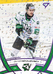 Novajovský Peter 24-25 Tipos Extraliga Purple #186