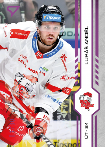 Anděl Lukáš 24-25 Tipsport Extraliga Purple #172