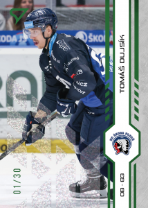 Dujsík Tomáš 24-25 Tipsport Extraliga Green #201