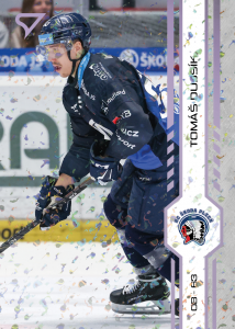 Dujsík Tomáš 24-25 Tipsport Extraliga Violet #201