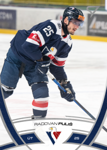 Puliš Radovan 24-25 Tipos Extraliga #106