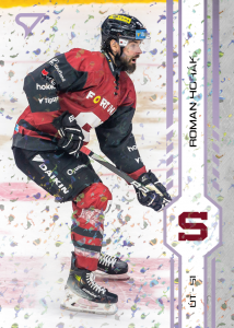 Horák Roman 24-25 Tipsport Extraliga Violet #46