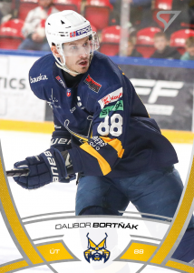 Bortňák Dalibor 24-25 Tipos Extraliga #28