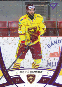 Bokroš Tomáš 24-25 Tipos Extraliga Purple #147